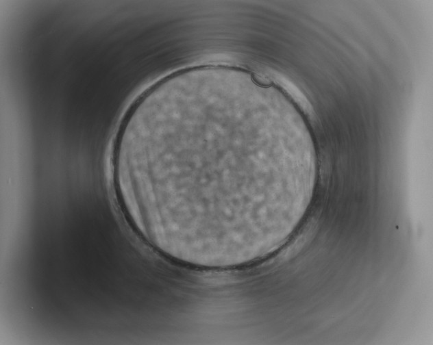 X0000101650944200808071112