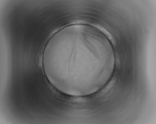 X0000101650945200808071112