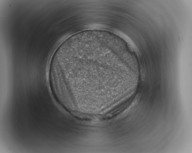 X0000101650946200808071112