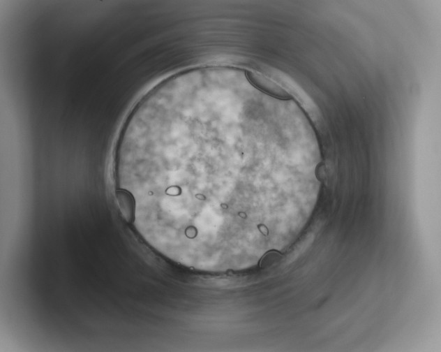 X0000101650948200808071112