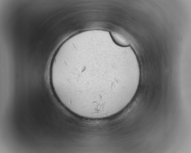 X0000101650949200808071112