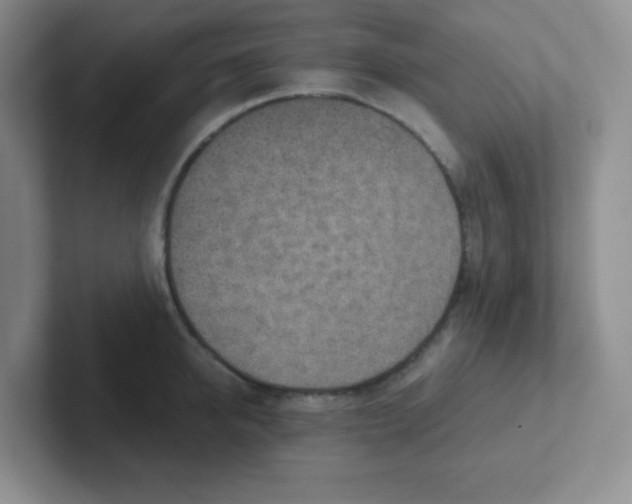 X0000101650950200808071112