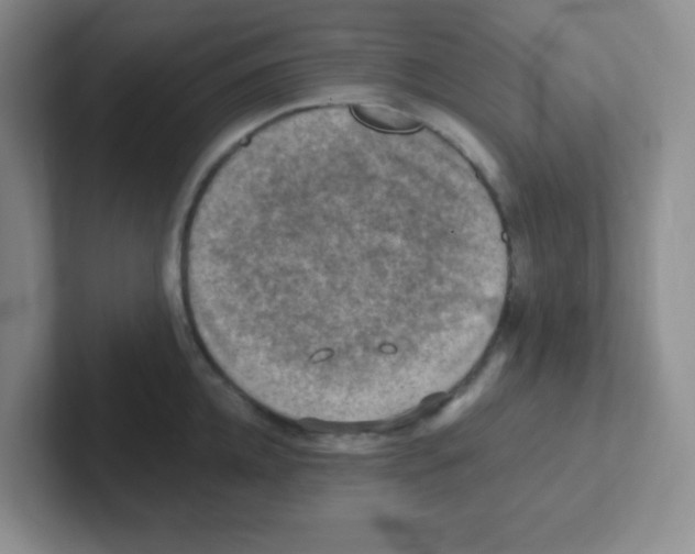 X0000101650952200808071112