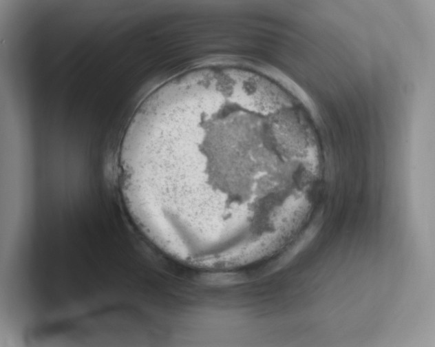 X0000101650953200808071112