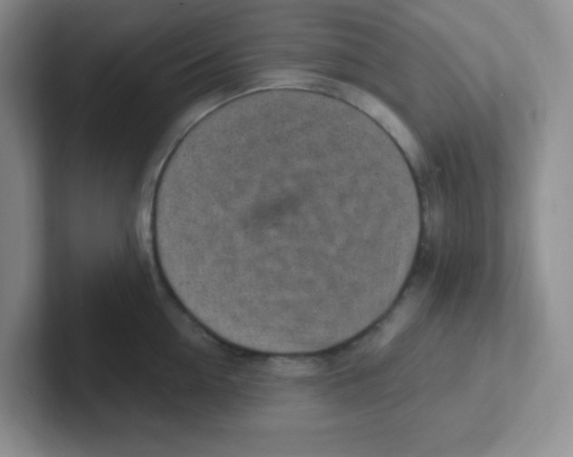 X0000101650954200808071112