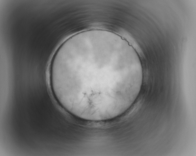 X0000101650955200808071112