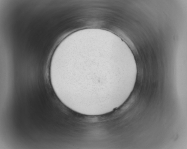 X0000101650956200808071112
