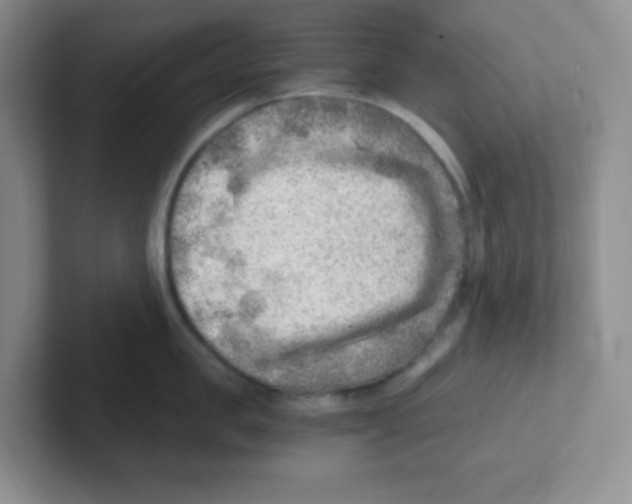 X0000101650957200808071112