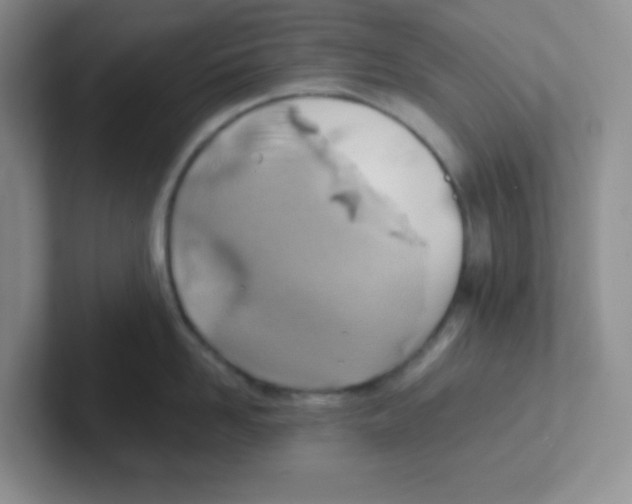 X0000101650958200808071112