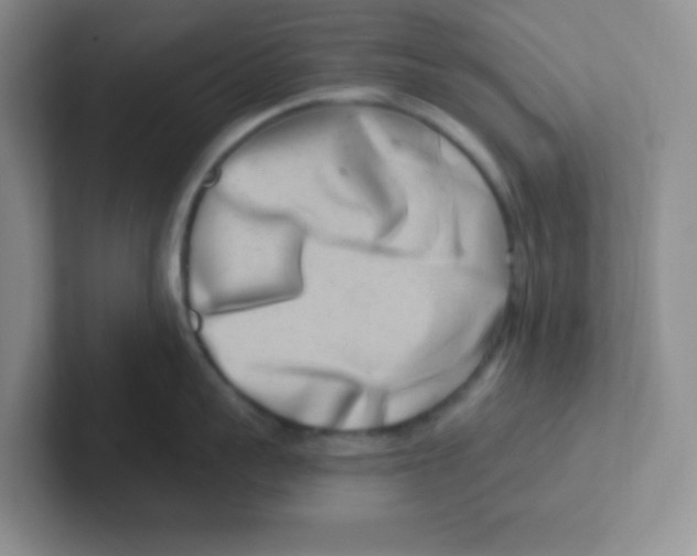 X0000101650959200808071112