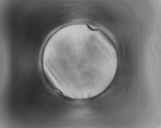 X0000101650960200808071112