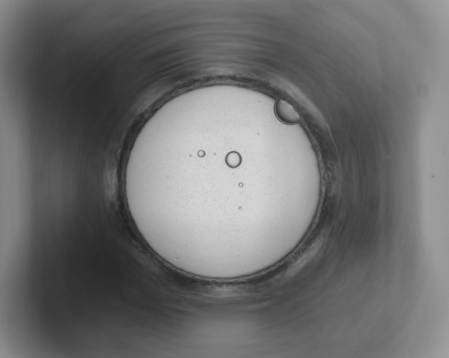 X0000101650969200808071111