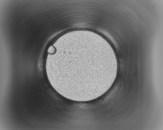 X0000101650971200808071111
