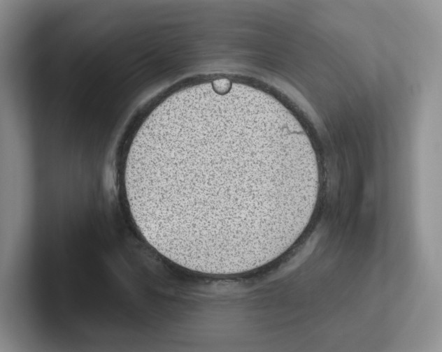 X0000101650974200808071111