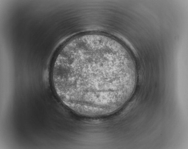 X0000101650975200808071111