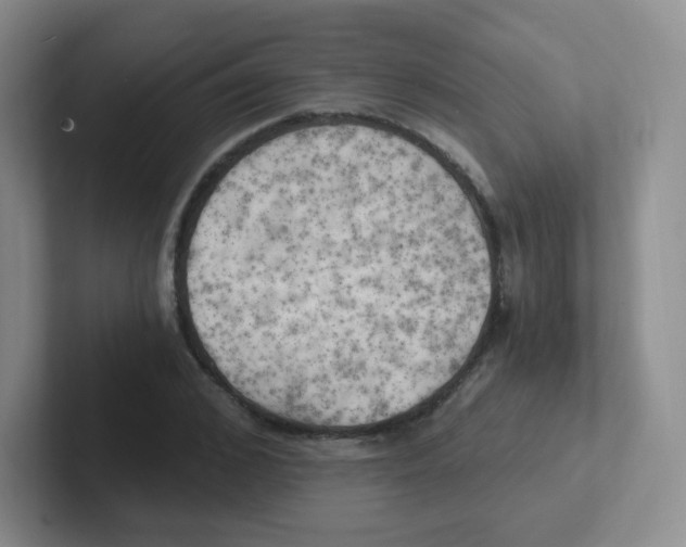 X0000101650976200808071111