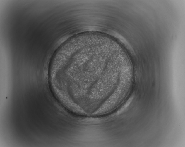 X0000101650977200808071111