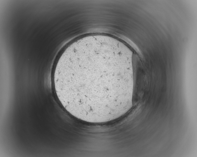 X0000101650980200808071111