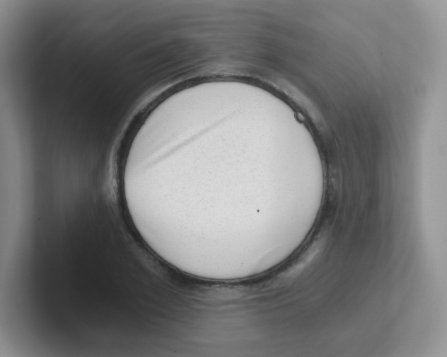 X0000101650981200808071111