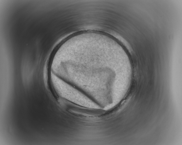 X0000101650983200808071111