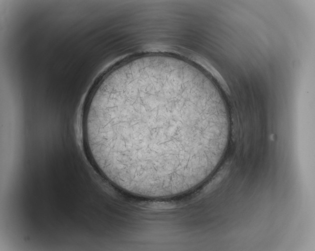 X0000101650984200808071111