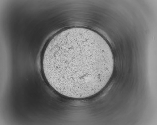 X0000101650987200808071111