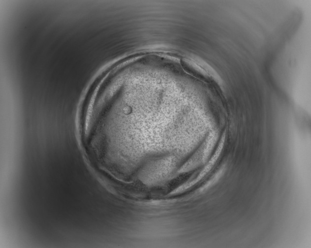 X0000101650989200808071111