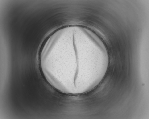 X0000101650990200808071111