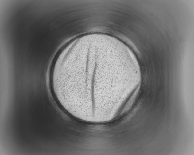 X0000101650991200808071111