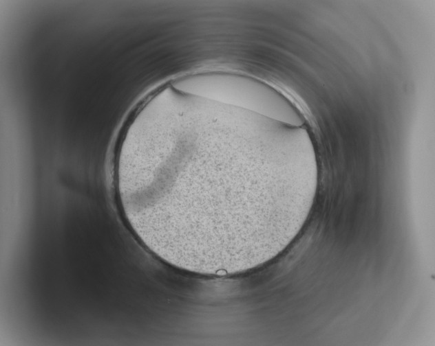 X0000101650992200808071111