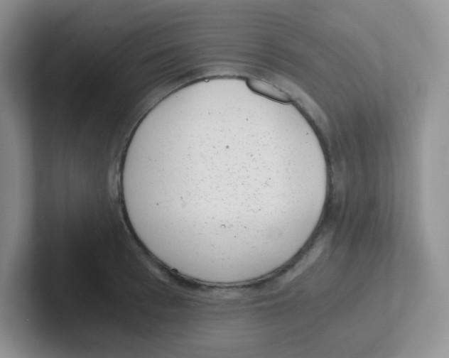 X0000101650993200808071111