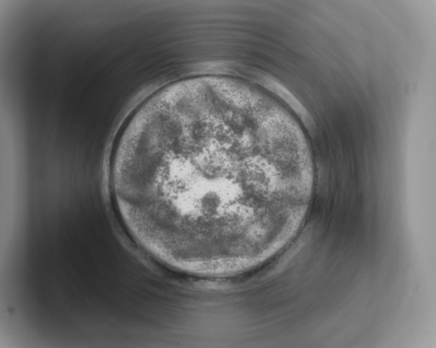 X0000101650994200808071111