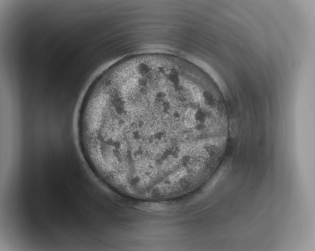 X0000101650995200808071111
