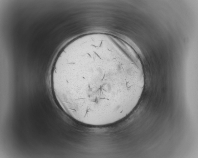 X0000101650996200808071111