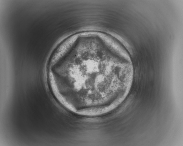 X0000101650998200808071111