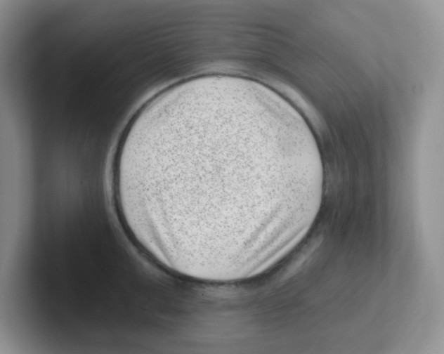 X0000101650999200808071111