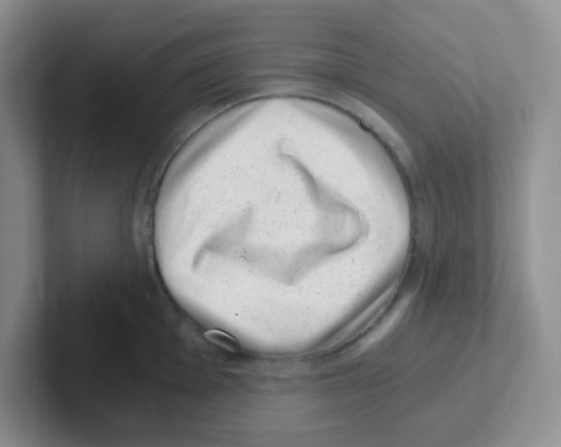 X0000101651001200808071111