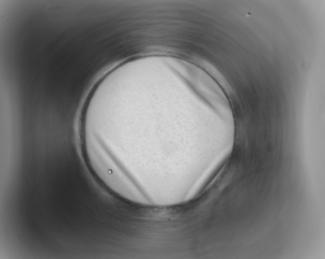X0000101651003200808071111