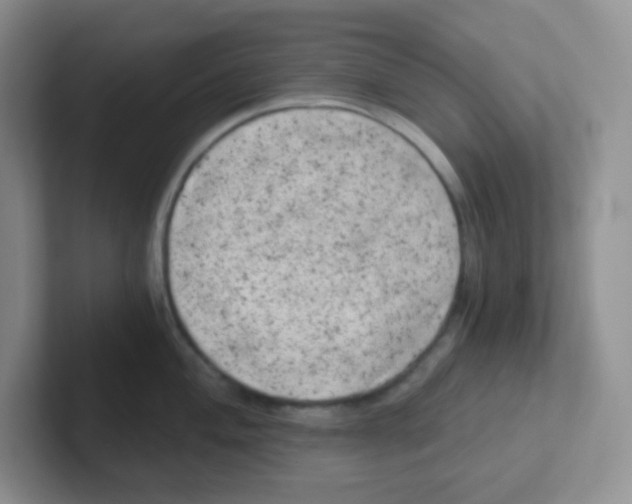 X0000101651004200808071111