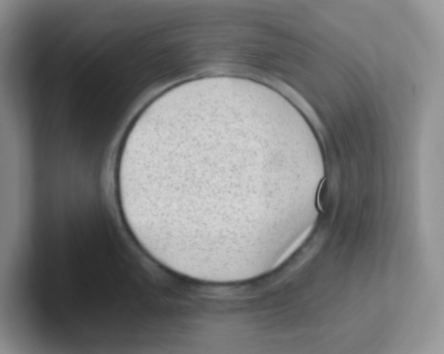 X0000101651005200808071111