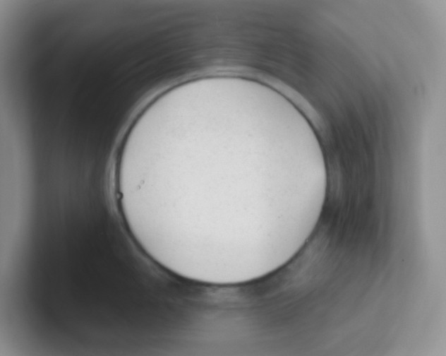 X0000101651006200808071111