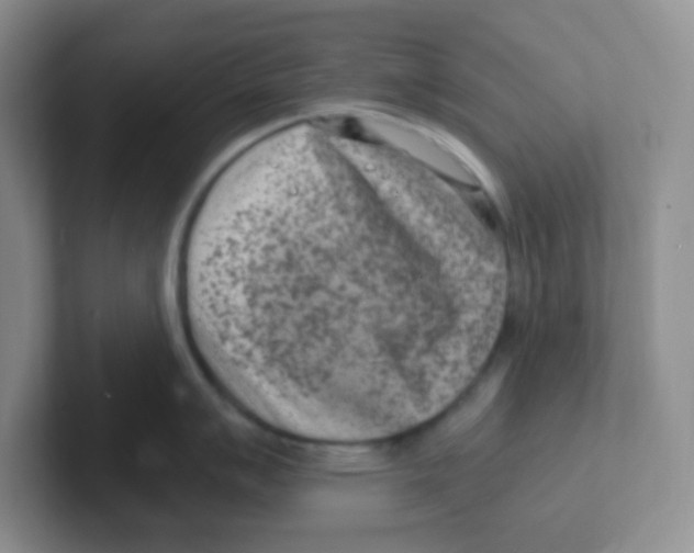 X0000101651007200808071111