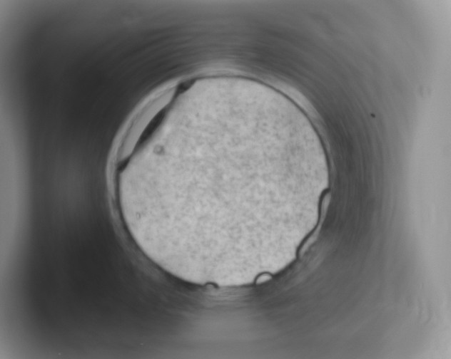 X0000101651008200808071110