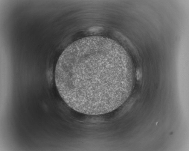 X0000101651011200808071110