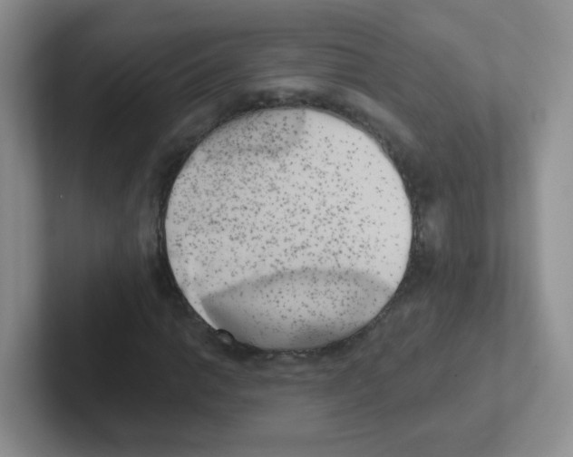 X0000101651014200808071110