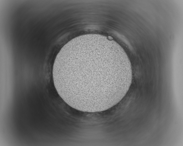 X0000101651015200808071110