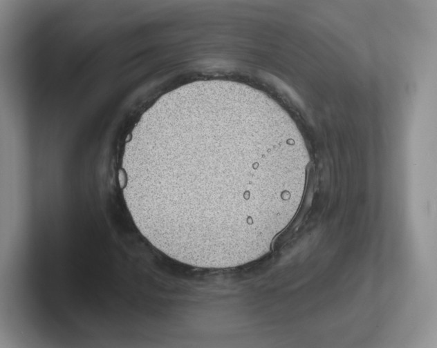 X0000101651016200808071110