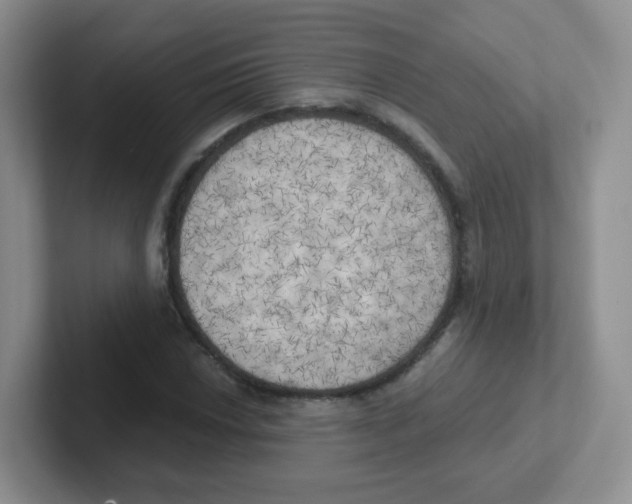 X0000101651018200808071110