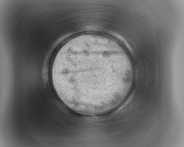 X0000101651019200808071110