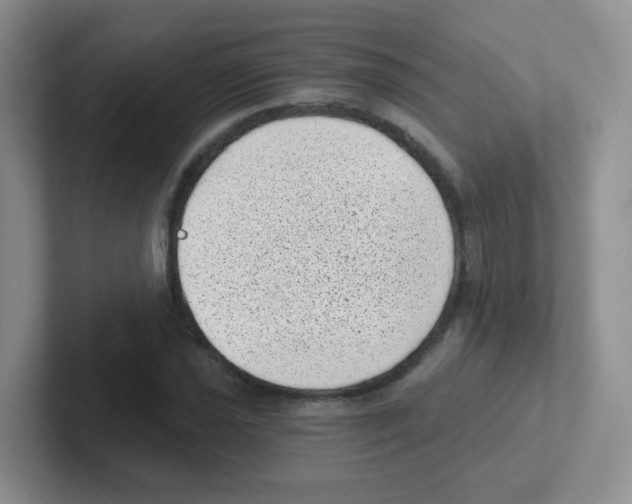 X0000101651021200808071110